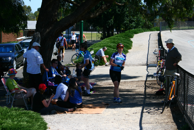 On a sunny day the shady tree was popular